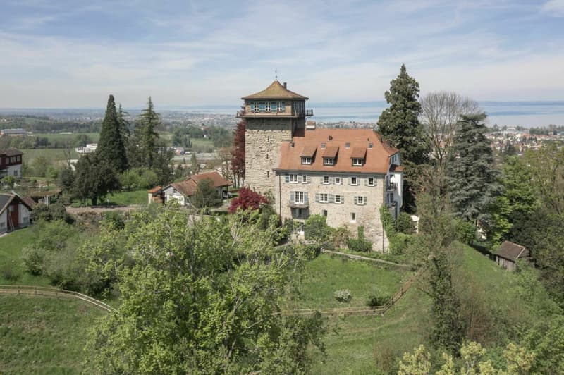 Habitation unique dans un bâtiment historique (Château de Sulzberg) dans un lieu idyllique (7)