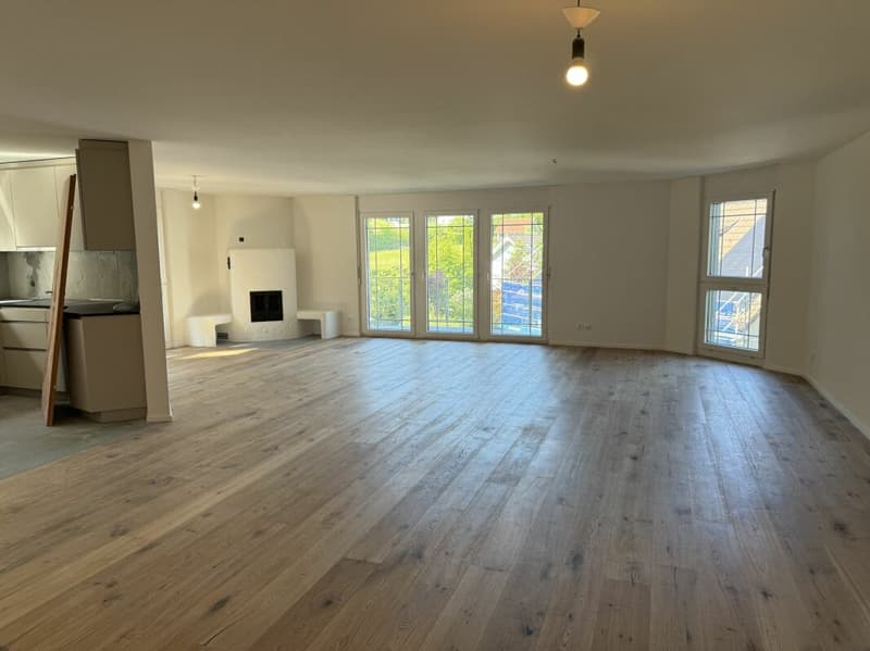 Attractive 4.5-room apartment (6)