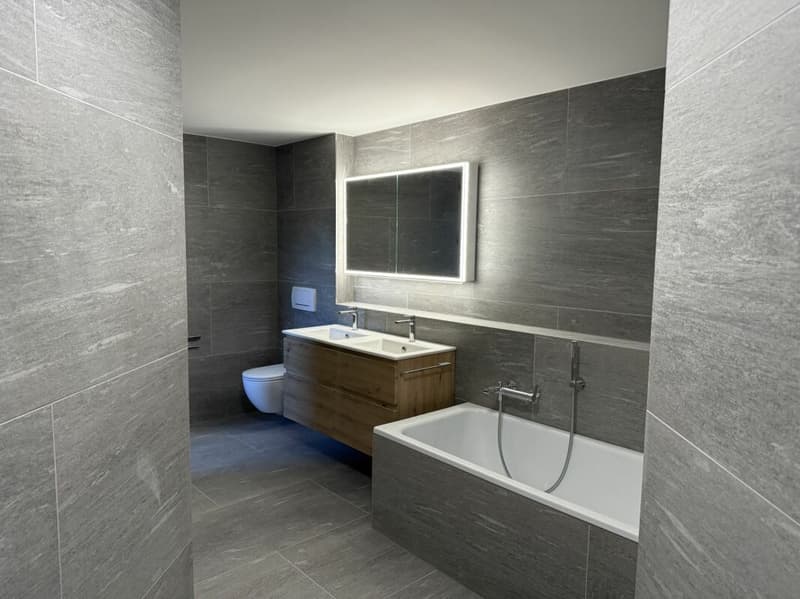 Attractive 4.5-room apartment (4)