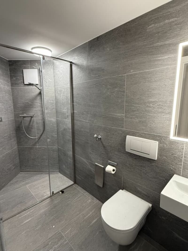 Attractive 5.5-room apartment with private garden! (4)