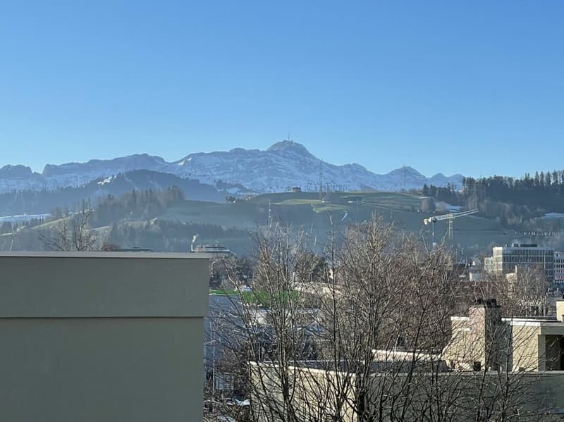 Appartamento bello con vista meravigliosa sul verde (8)