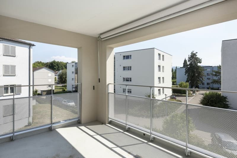 Appartamento moderno cerca nuovi inquilini (6)
