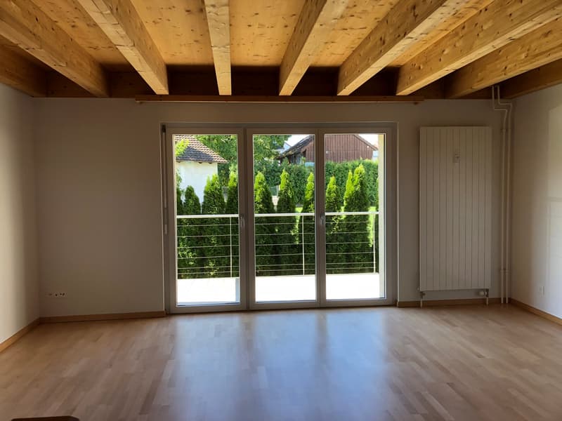 Appartamento accogliente di 2 camere con balcone ad Amriswil (2)