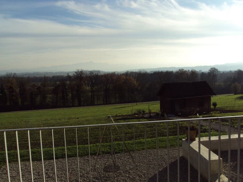 Helle Wohnung mit Balkon und Bergblick (7)