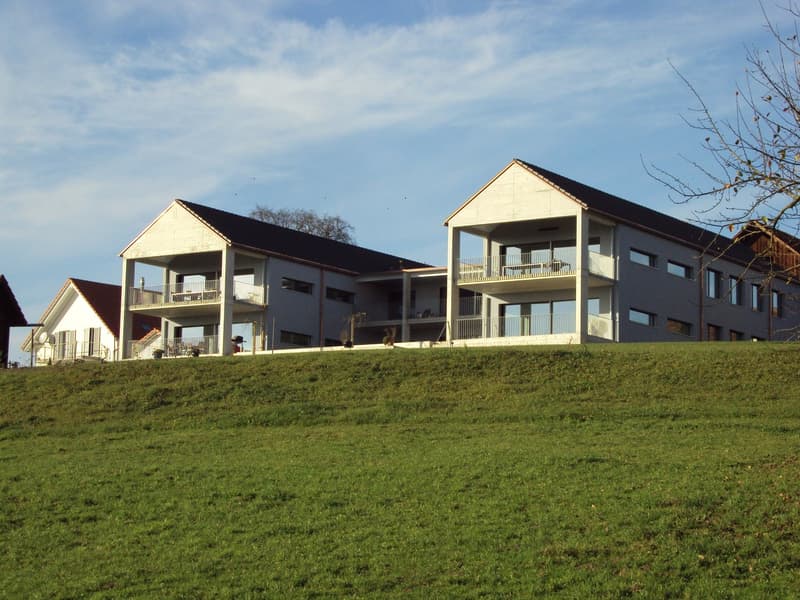 Helle Wohnung mit Balkon und Bergblick (1)
