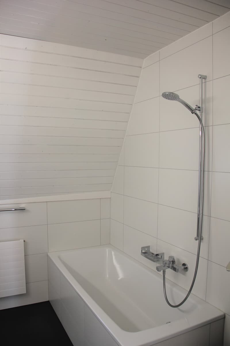 Bright 4.5-room apartment in attractive location (5)