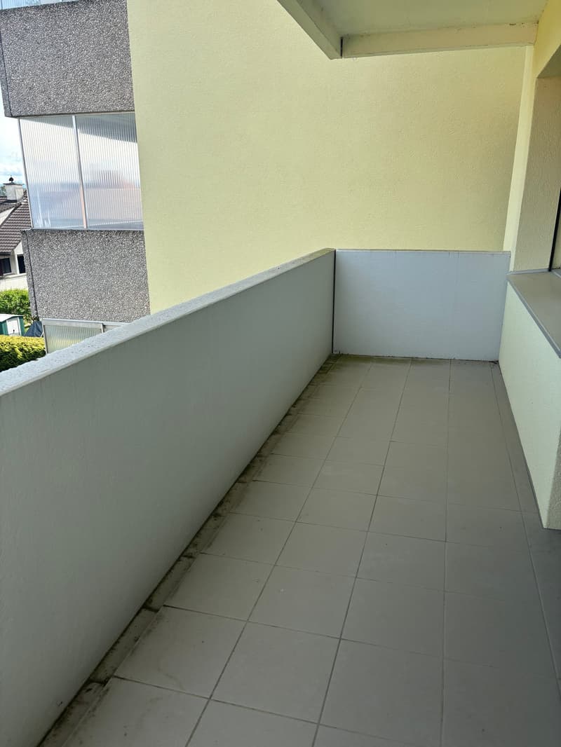 Spacious apartment with balcony in Romanshorn (9)