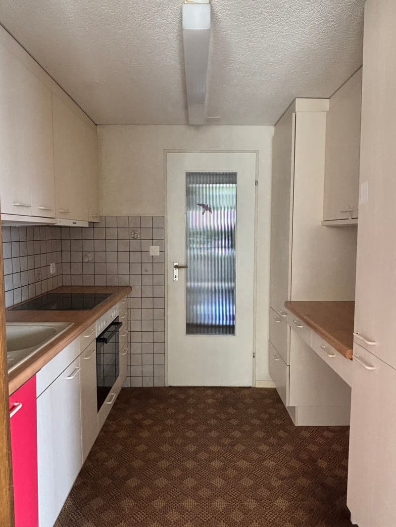 Spacious apartment with balcony in Romanshorn (5)