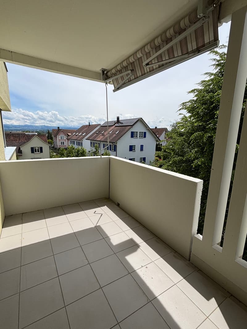 Spacious apartment with balcony in Romanshorn (10)