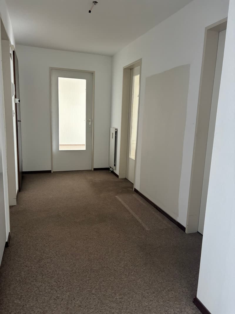Spacious apartment with balcony in Romanshorn (4)