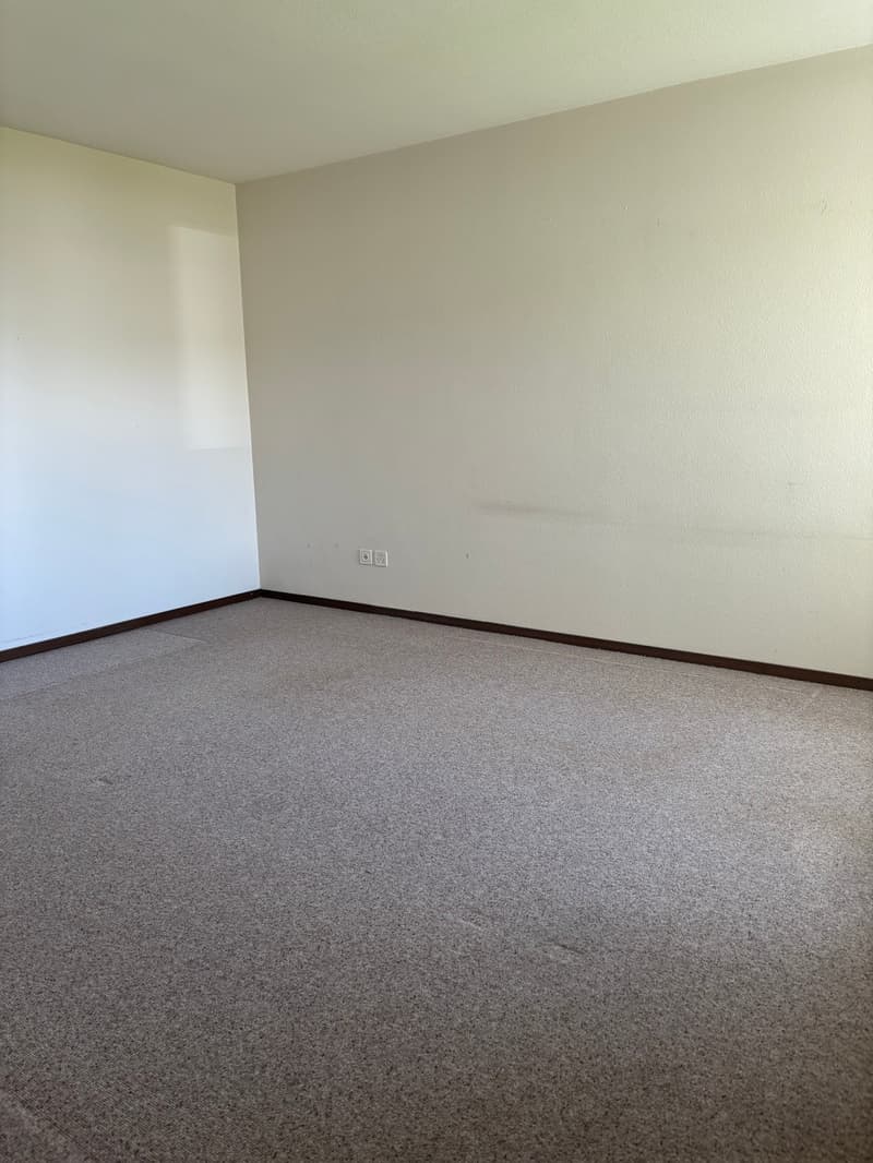 Spacious apartment with balcony in Romanshorn (3)