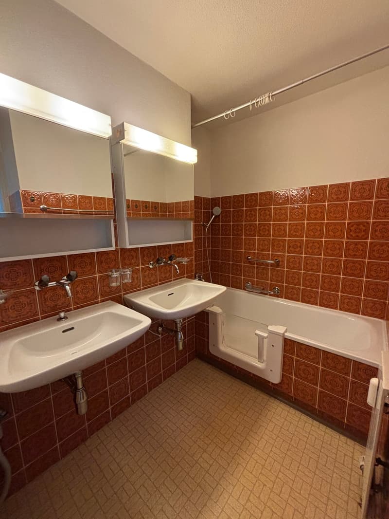 Spacious apartment with balcony in Romanshorn (7)