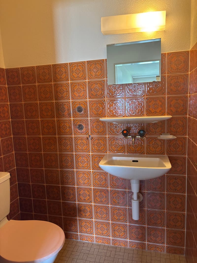 Spacious apartment with balcony in Romanshorn (8)