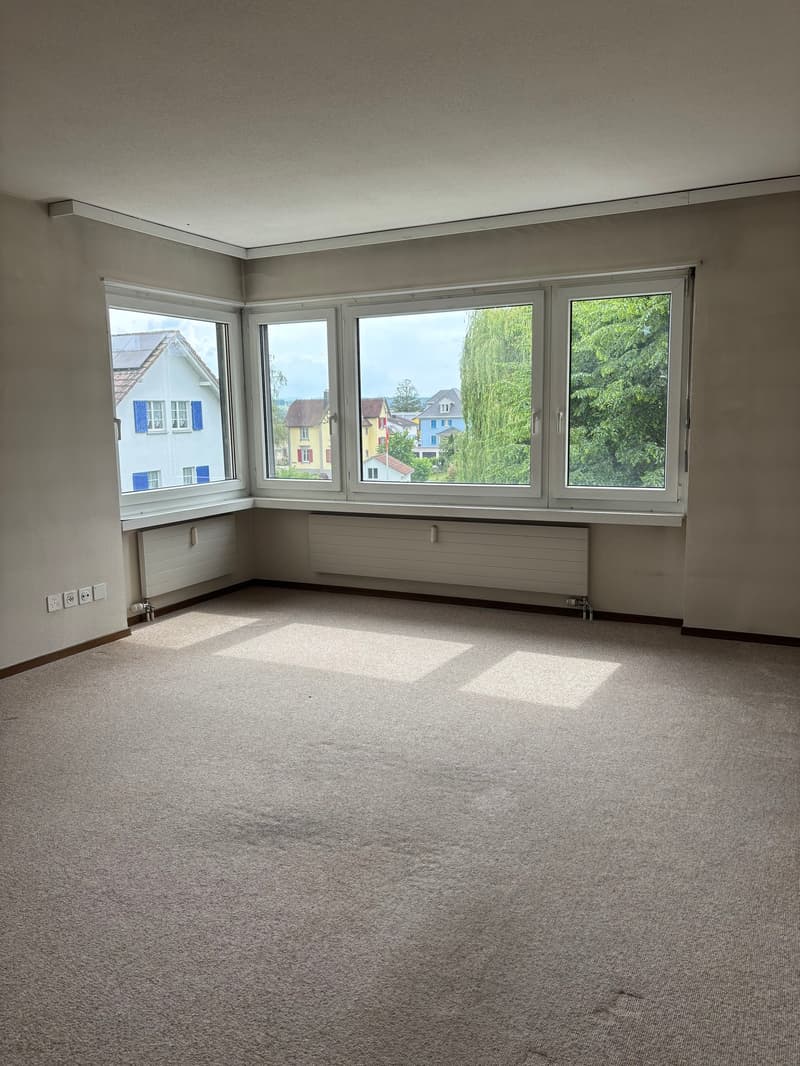 Spacious apartment with balcony in Romanshorn (2)