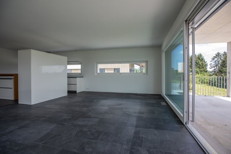 Bright apartment with balcony and mountain view (9)