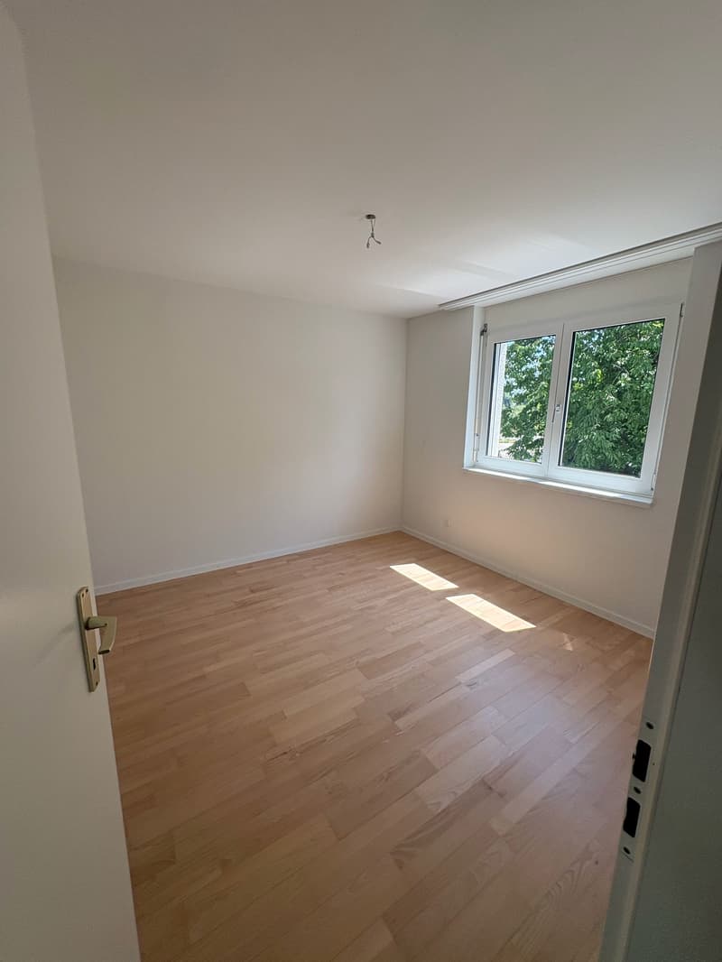 Charmantes 6.5-Zimmer-Haus mit schönem Garten (7)