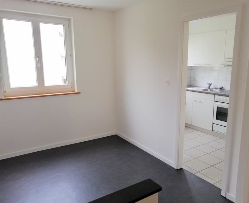 Helle 3.5-Zimmer-Wohnung mit Balkon in St. Gallen (3)