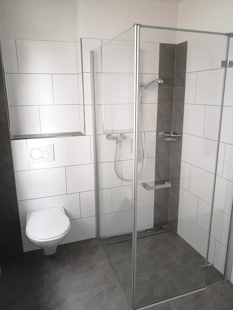 4.5 Zi.-Wohnung im Grünen zu vermieten (8)