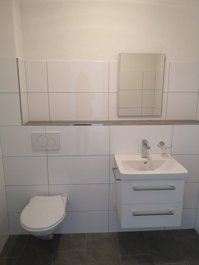 4.5 Zi.-Wohnung im Grünen zu vermieten (9)