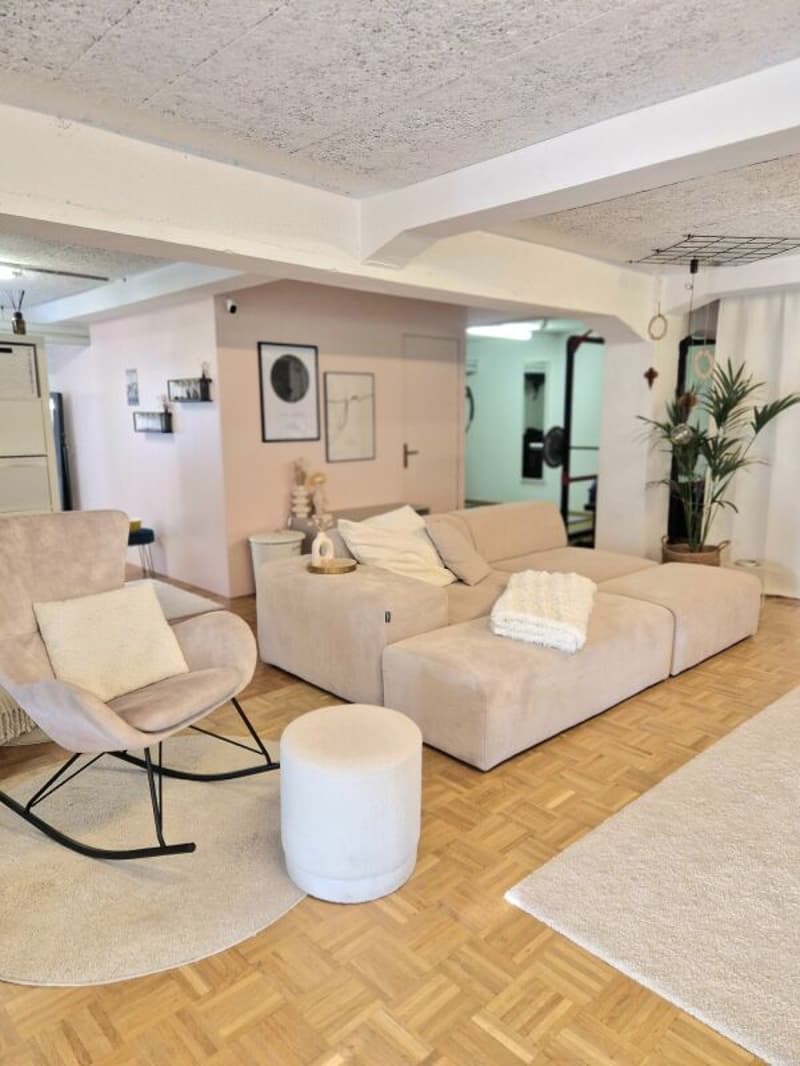 Appartamento loft con grande giardino (3)