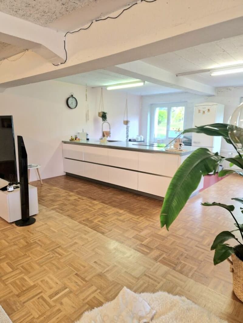 Appartamento loft con grande giardino (5)