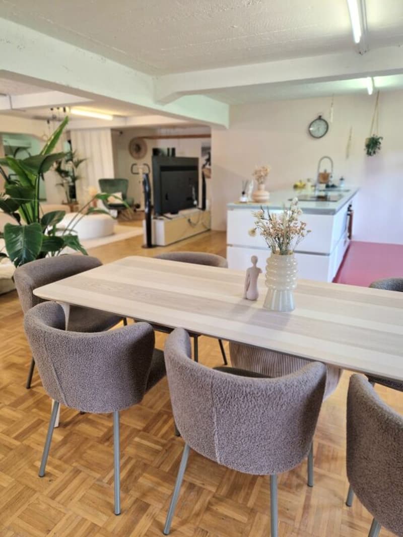 Appartamento loft con grande giardino (4)