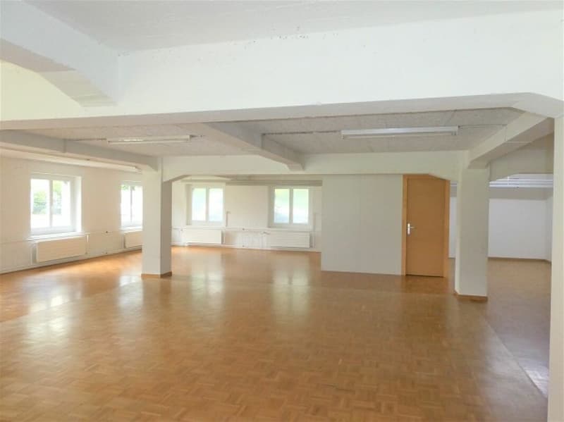 Appartamento loft con grande giardino (6)