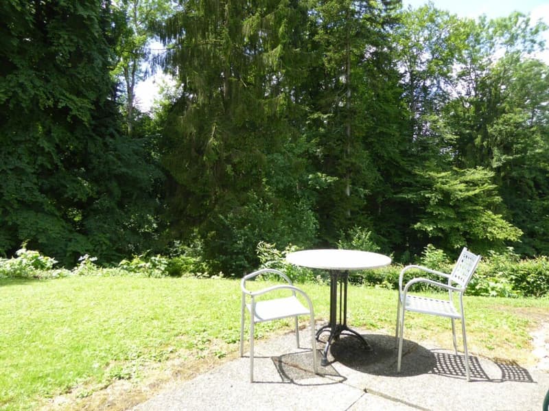 2.5 Zi-Whg mit Sitzplatz in ruhigem Uni-Quartier (7)