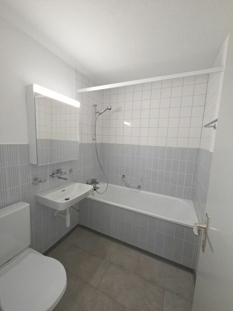 2.5 Zi-Whg mit Sitzplatz in ruhigem Uni-Quartier (6)