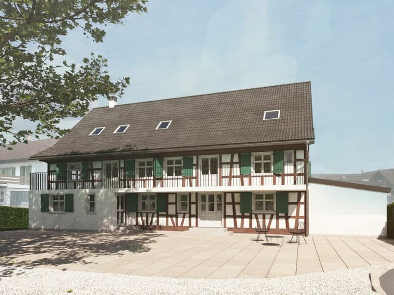 New and unique: 8½-room house B (6)