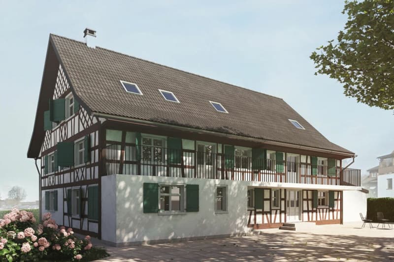 Progetto approvato + terra + casa di ristrutturazione per 2 case unifamiliari CHF 1'100'000 (2)