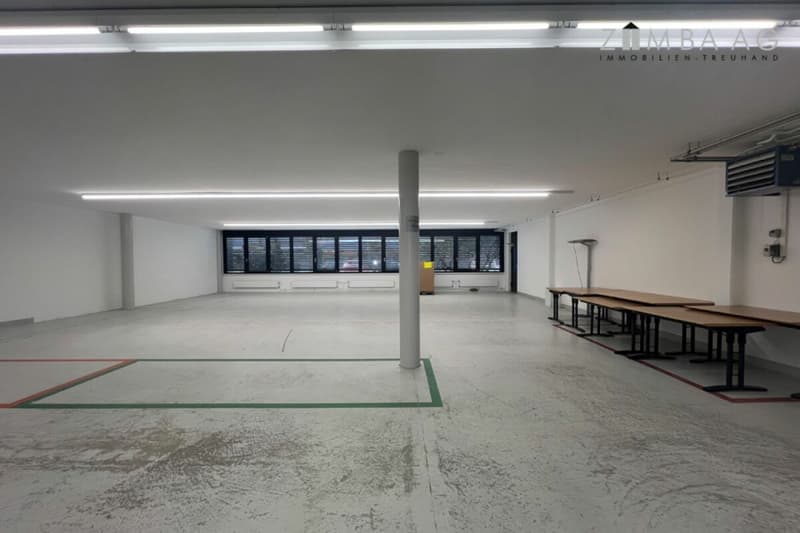 Your new business location that leaves no wishes unfulfilled (20)