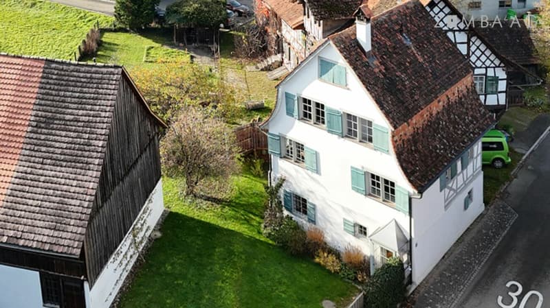 Historically high-quality renovated single-family house (6)