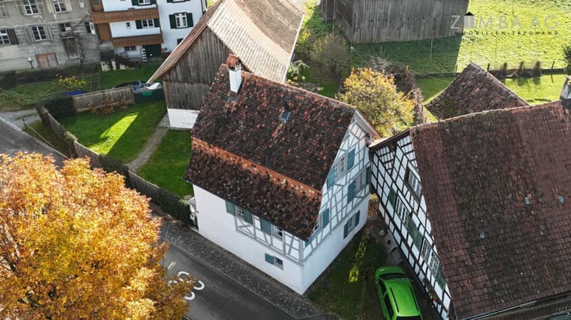 Historically high-quality renovated single-family house (3)