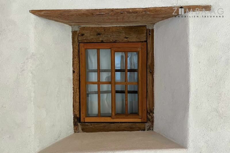 Historically high-quality renovated single-family house (20)