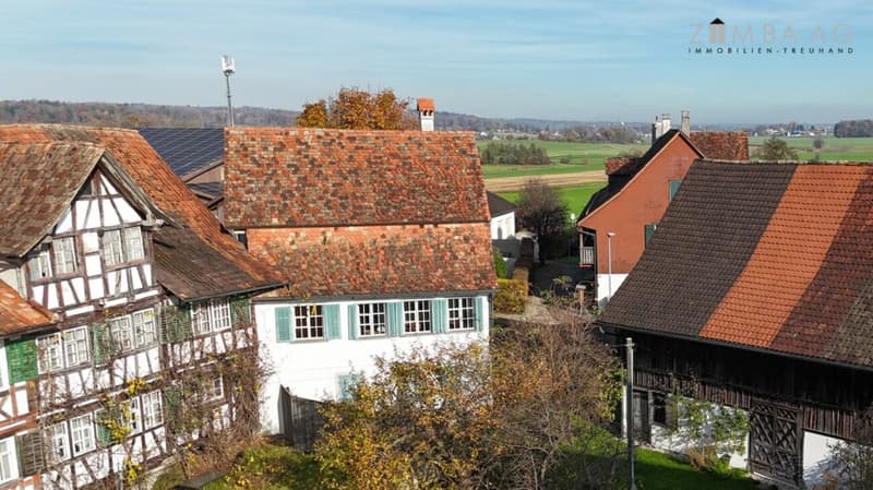 Historically high-quality renovated single-family house (7)