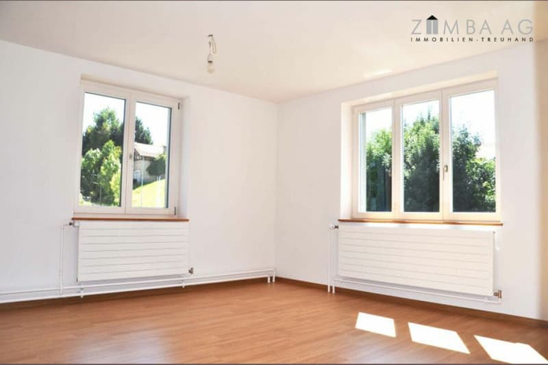 Large, beautiful location, lots of sunshine, with garden and west terrace (12)