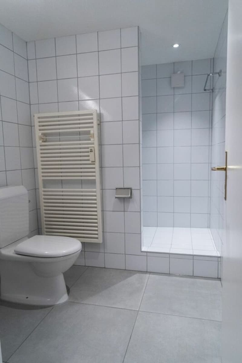 Appartement Tour du Zehntenhof (6)