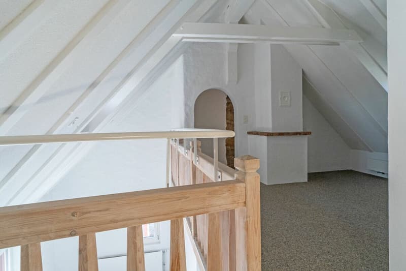 Appartement Tour du Zehntenhof (10)