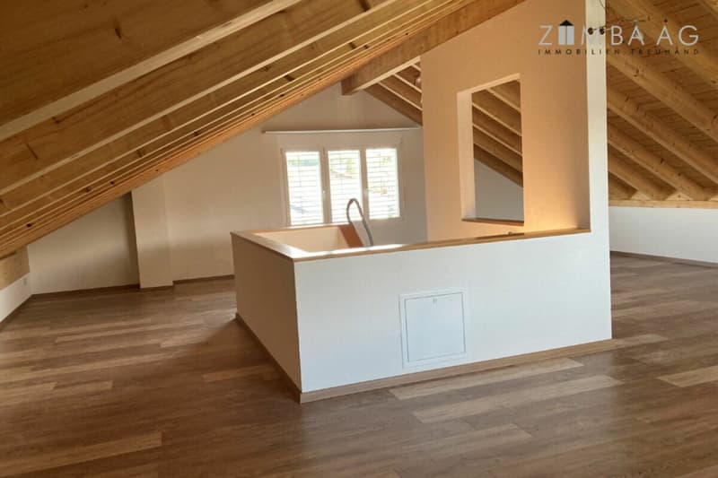 Single-family house with a view, spacious and with a large garage (3)