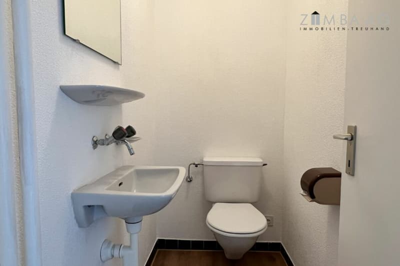 Grosszügig, sehr ruhige Lage, viel Sonne, grosser Balkon, WM/Tumbler (20)