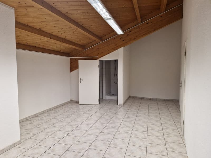 Studio/Workshop with Shower/Toilet (2)
