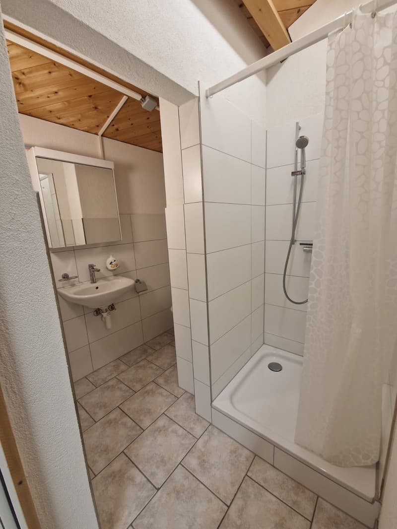 Studio/Workshop with Shower/Toilet (5)
