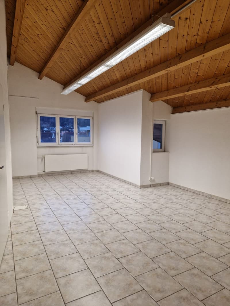 Studio/Workshop with Shower/Toilet (4)