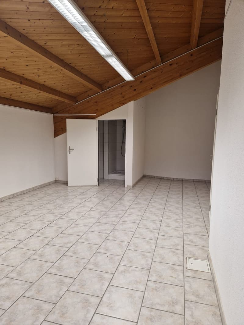 Studio/Workshop with Shower/Toilet (3)