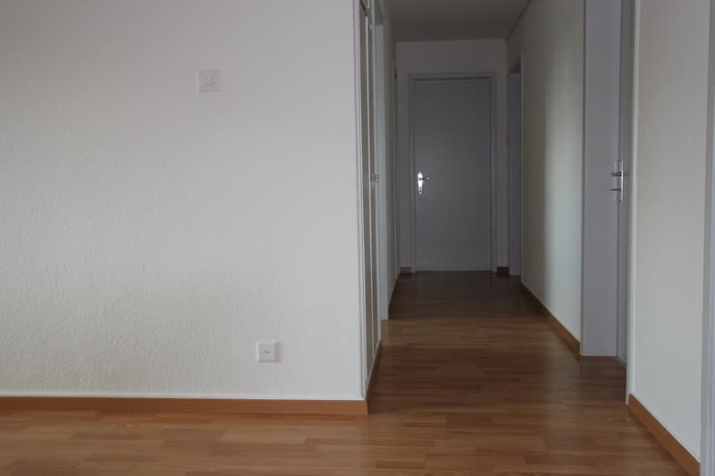 4 1/2-room apartment with balcony (9)