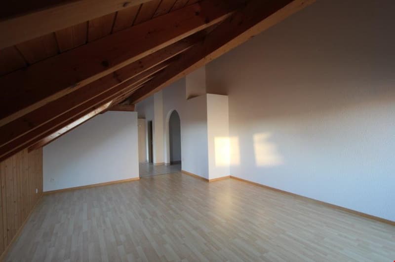 Appartamento mansardato di 3 1/2 locali (4)