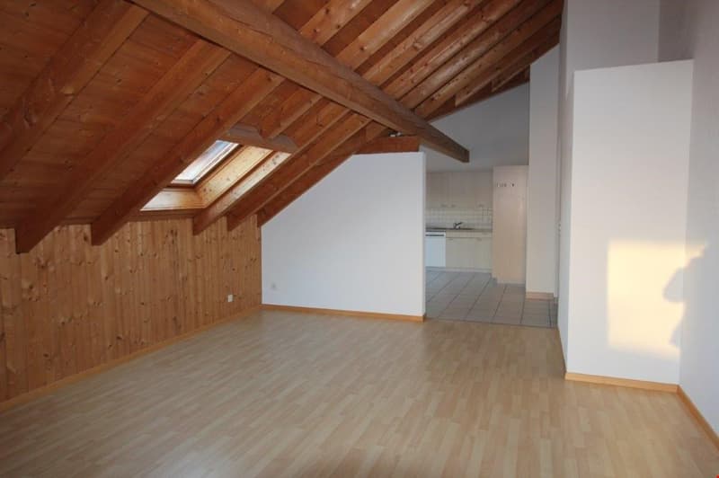 Appartamento mansardato di 3 1/2 locali (3)