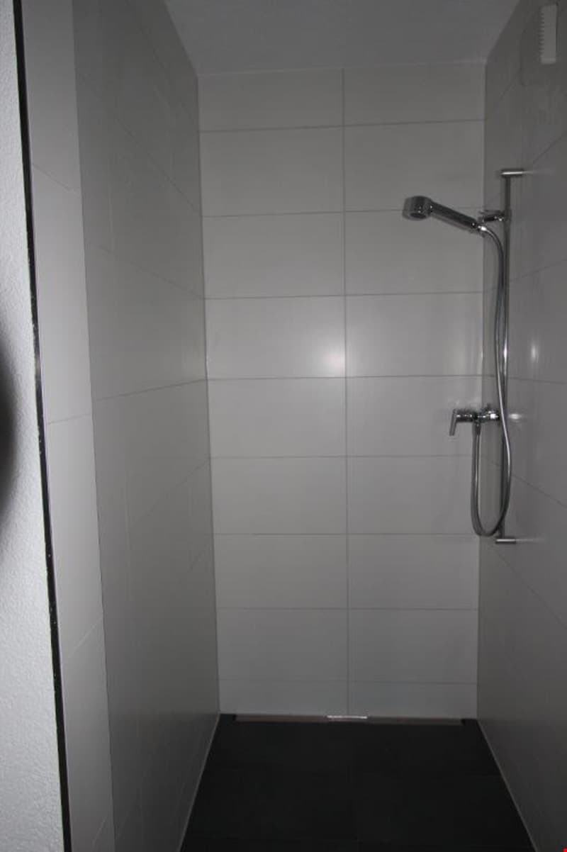 Appartamento mansardato di 3 1/2 locali (10)