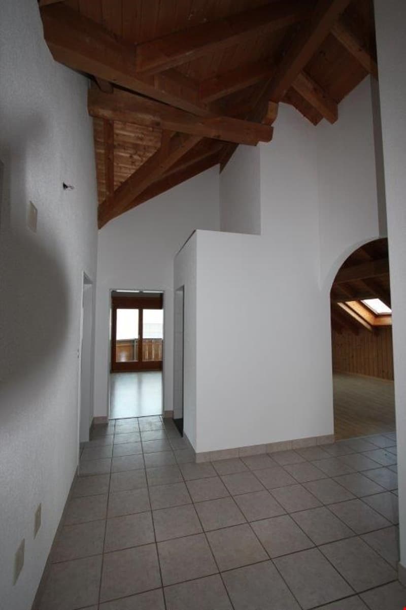 Appartamento mansardato di 3 1/2 locali (6)